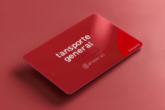 Vizitkartë plastikë