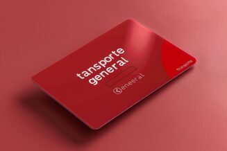 Vizitkartë plastikë